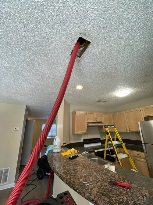 photo at Southwest Jacksonville Jacksonville Florida 32244 taken Nov 2022: We took a mold test and the customer had elevated aspergillus in the home. We our doing a dry fog treatment with instapure and everpure.