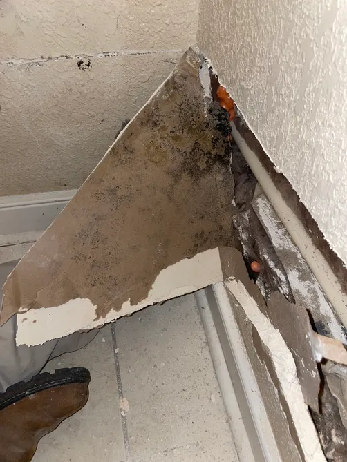 photo at Downtown Jacksonville Florida 32202 taken Dec 2022: Mold inspector found hidden microbial growth. Demo is in progress on effective materials.