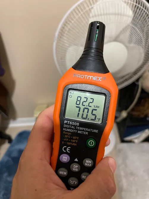 photo at Brentwood Jacksonville Florida 32206 taken Dec 2022: Black mold color is common for different mold varietys. Eliminate mold is critical for good health.