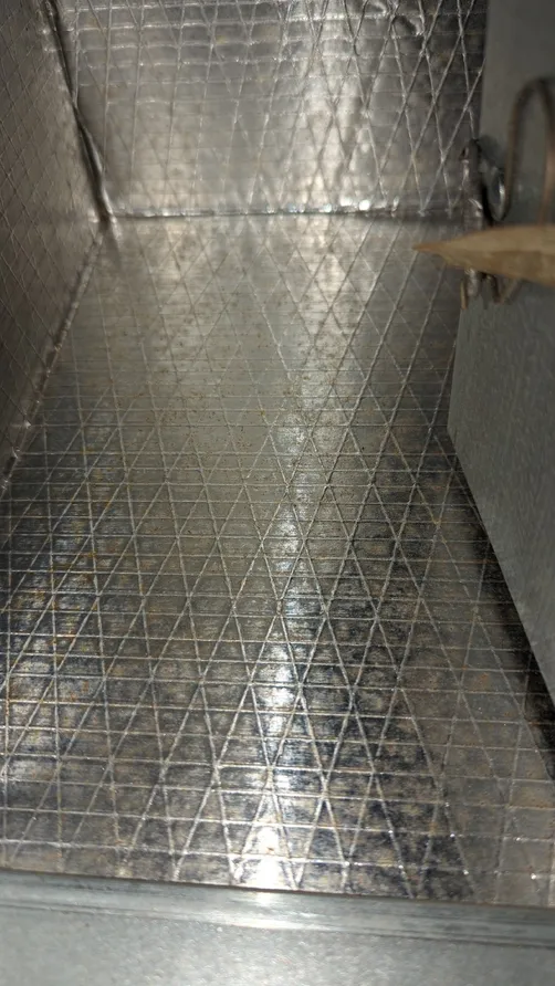 photo at Windy Hill Jacksonville Florida 32246 taken Dec 2022: Mold removal using fogging technology.