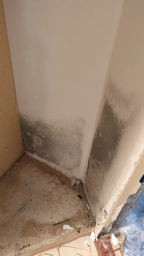 photo at Lakeshore Jacksonville Florida 32210 taken Dec 2022: Dehumidifier is a part of mold treatment. Drying out materials helps kill mold in the mold remediation process.