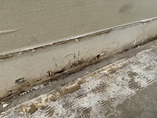 photo at Lakeshore Jacksonville Florida 32210 taken Dec 2022: Dehumidifier is a part of mold treatment. Drying out materials helps kill mold in the mold remediation process.