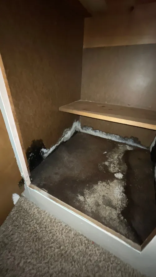 photo at Lakeshore Jacksonville Florida 32210 taken Dec 2022: Dehumidifier is a part of mold treatment. Drying out materials helps kill mold in the mold remediation process.