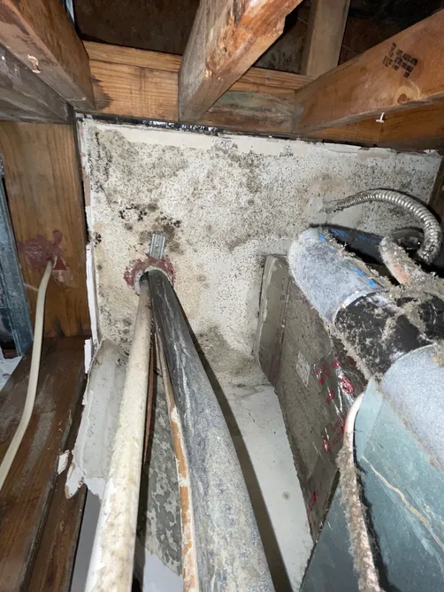 photo at Spring Park Jacksonville Florida 32207 taken Feb 2023: Water damage from flooding that caused growth. Removed drywall and sealed with a mold sealer.